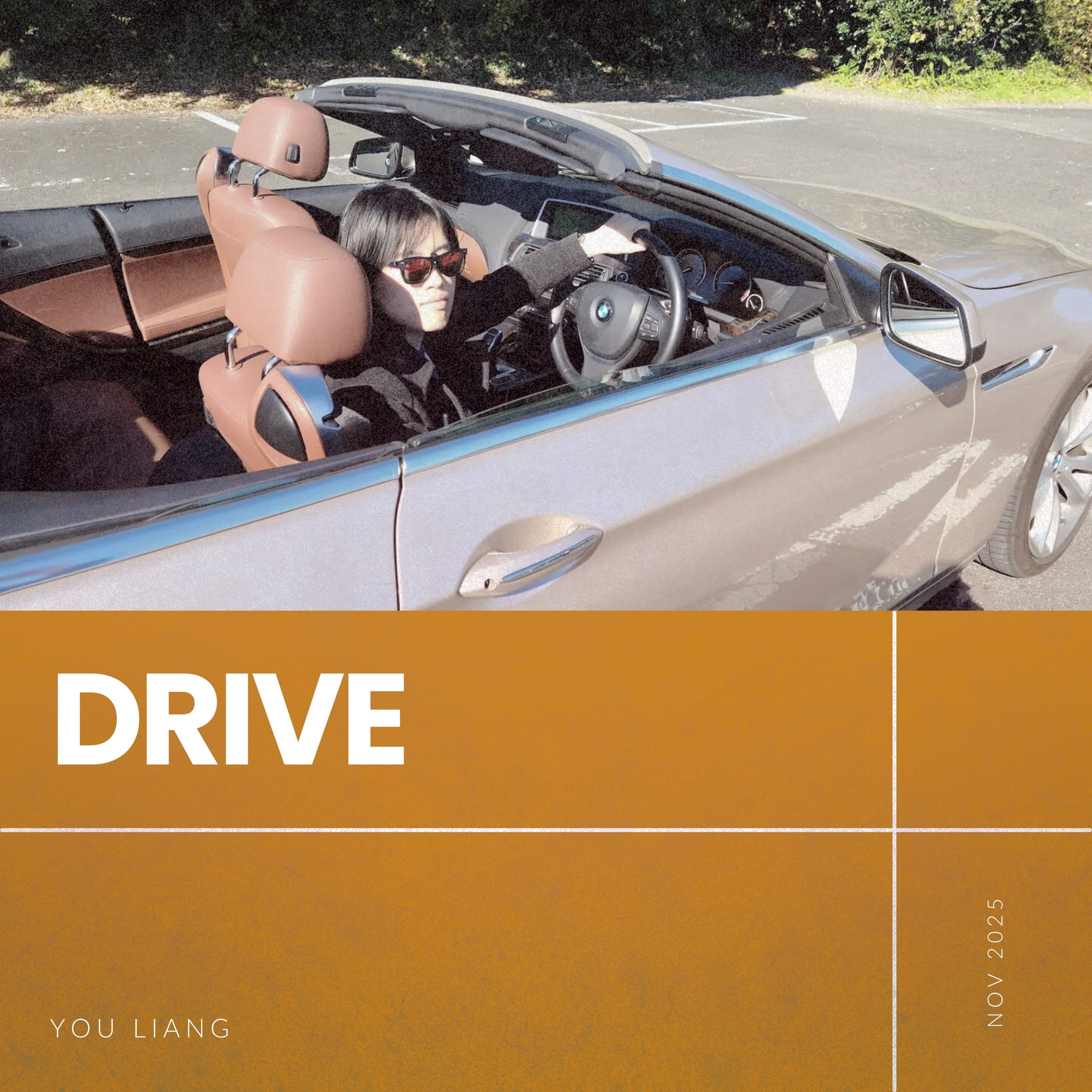 Drive cover art